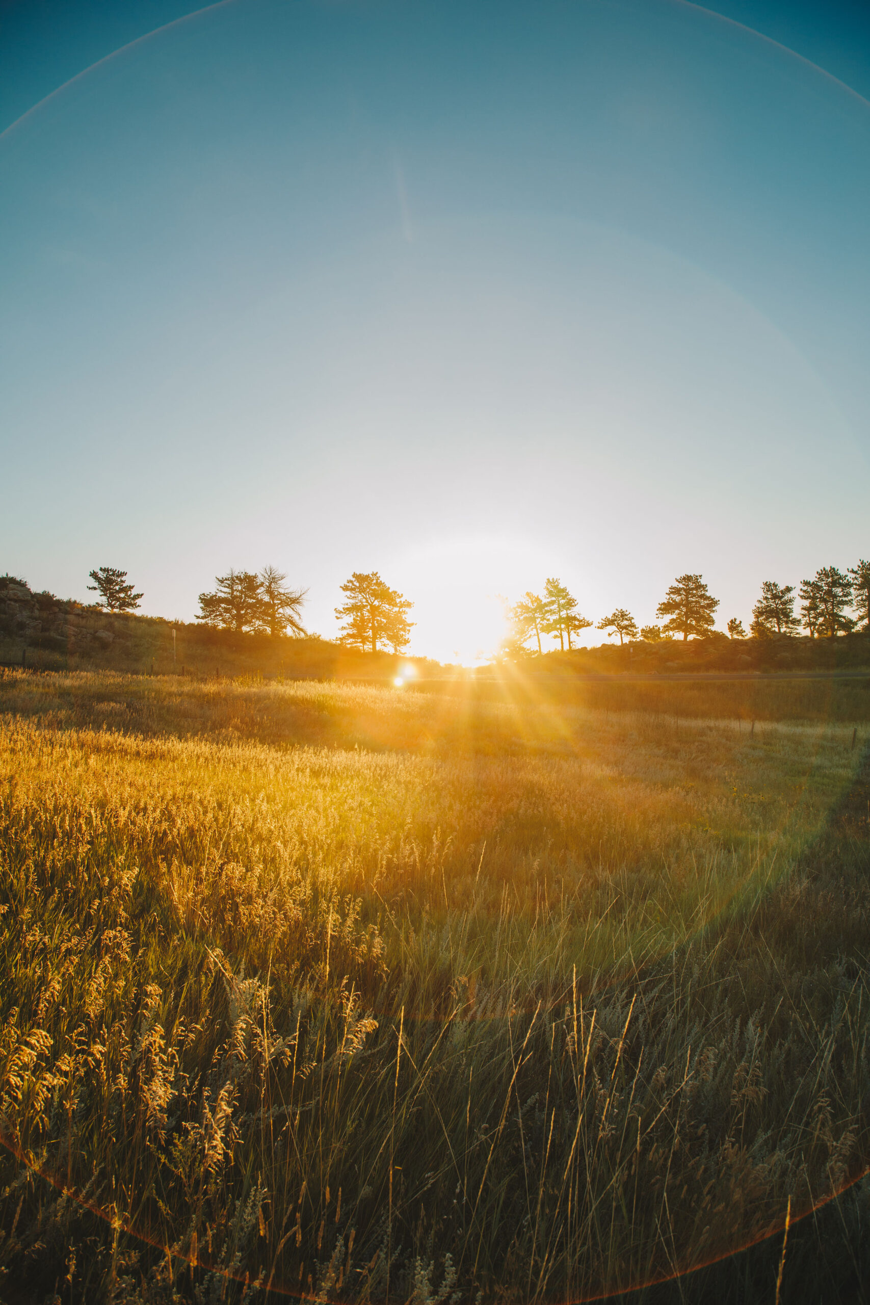 Fort Collins Sunset